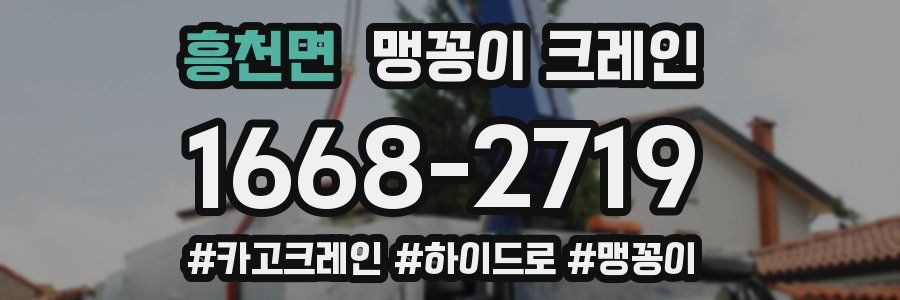 흥천면 맹꽁이 크레인