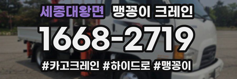 세종대왕면 맹꽁이 크레인
