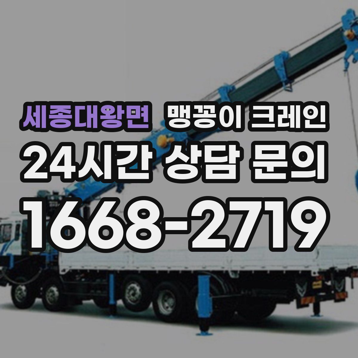 세종대왕면 맹꽁이 크레인