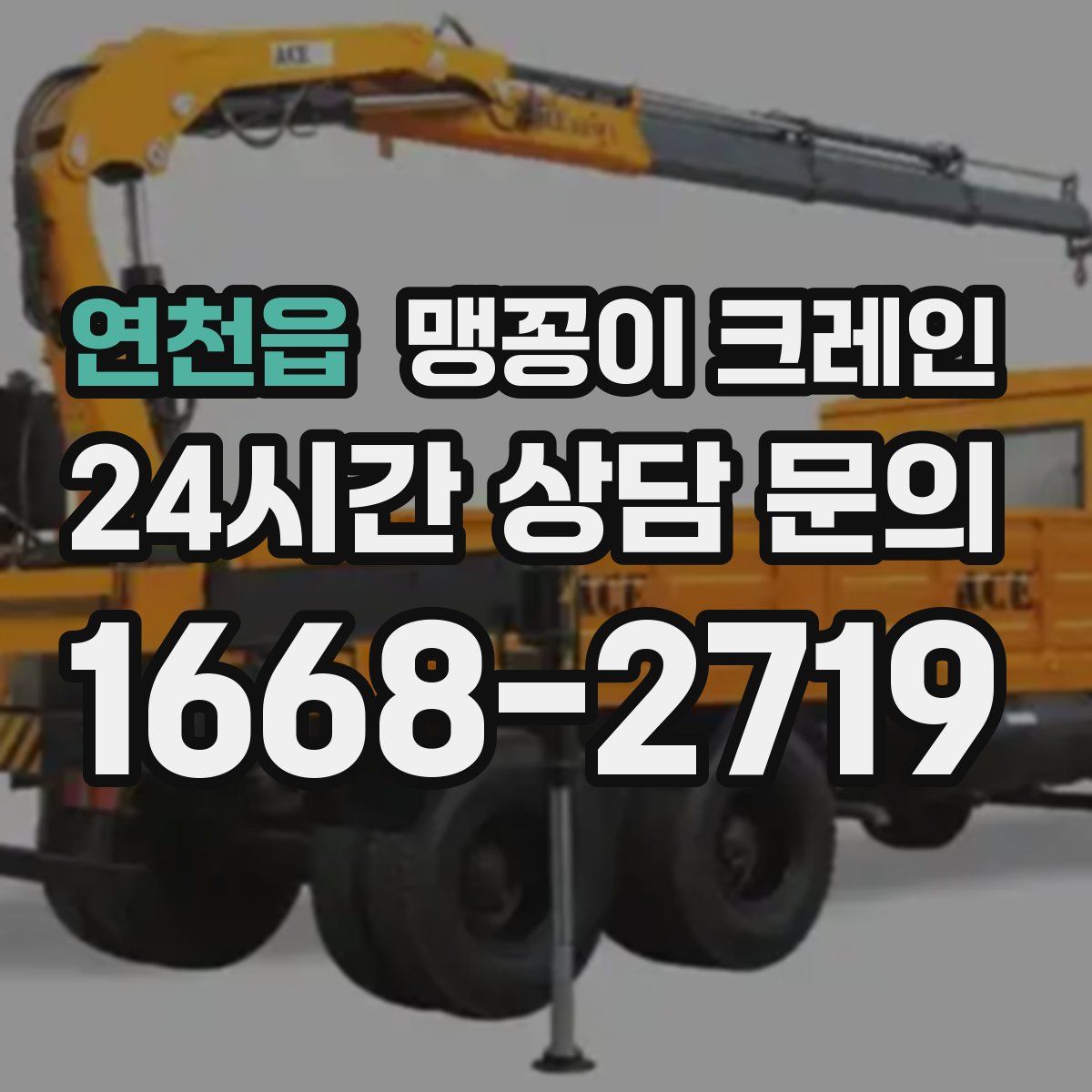 연천읍 맹꽁이 크레인