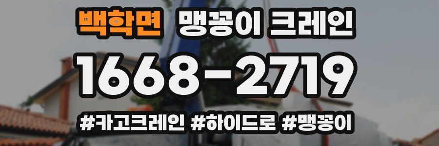 백학면 맹꽁이 크레인