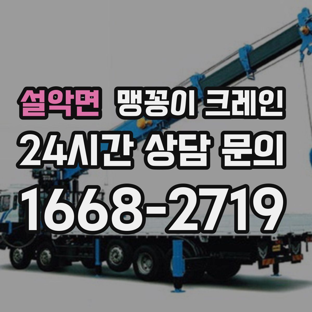 설악면 맹꽁이 크레인