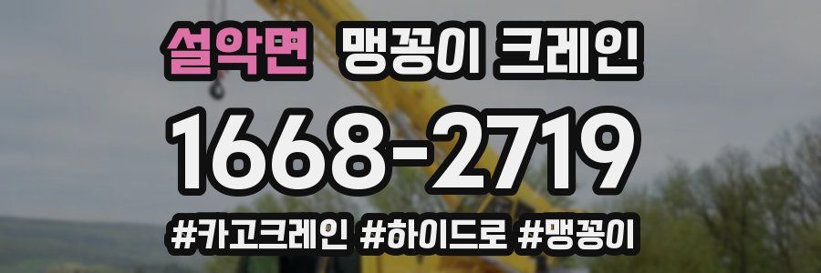 설악면 맹꽁이 크레인