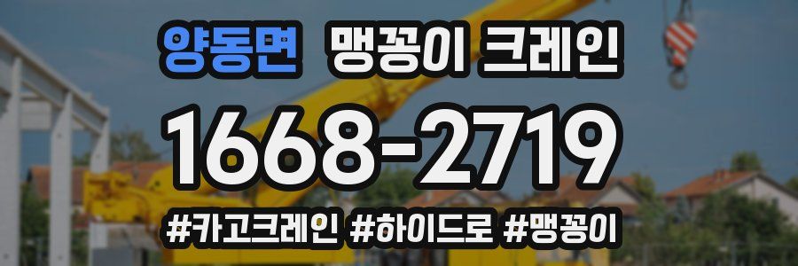 양동면 맹꽁이 크레인