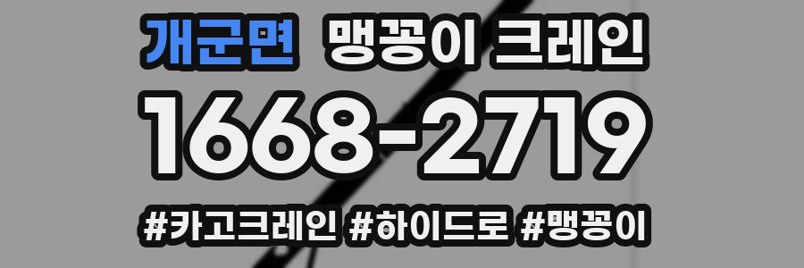 개군면 맹꽁이 크레인