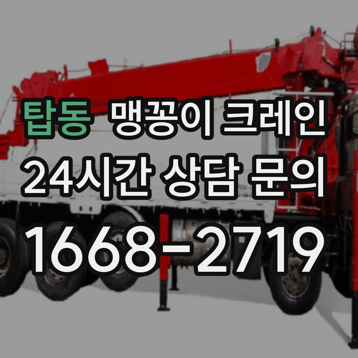 탑동 맹꽁이 크레인