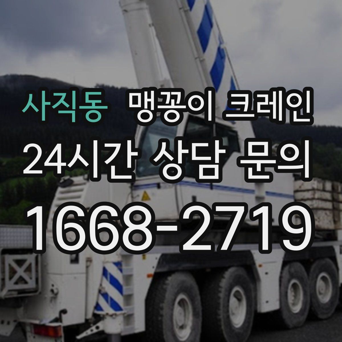 사직동 맹꽁이 크레인
