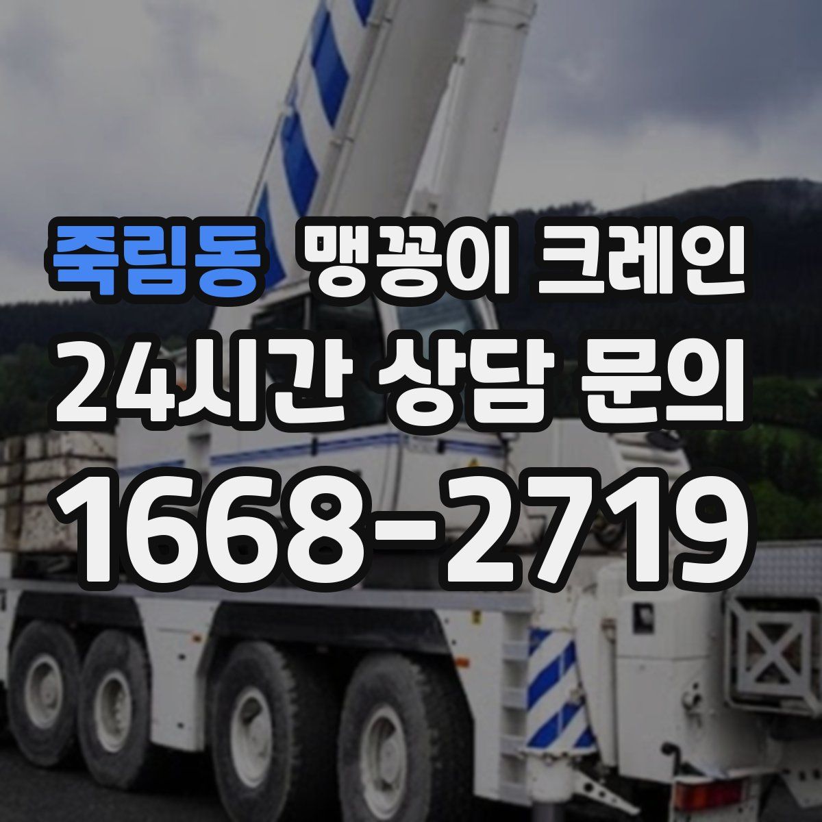 죽림동 맹꽁이 크레인