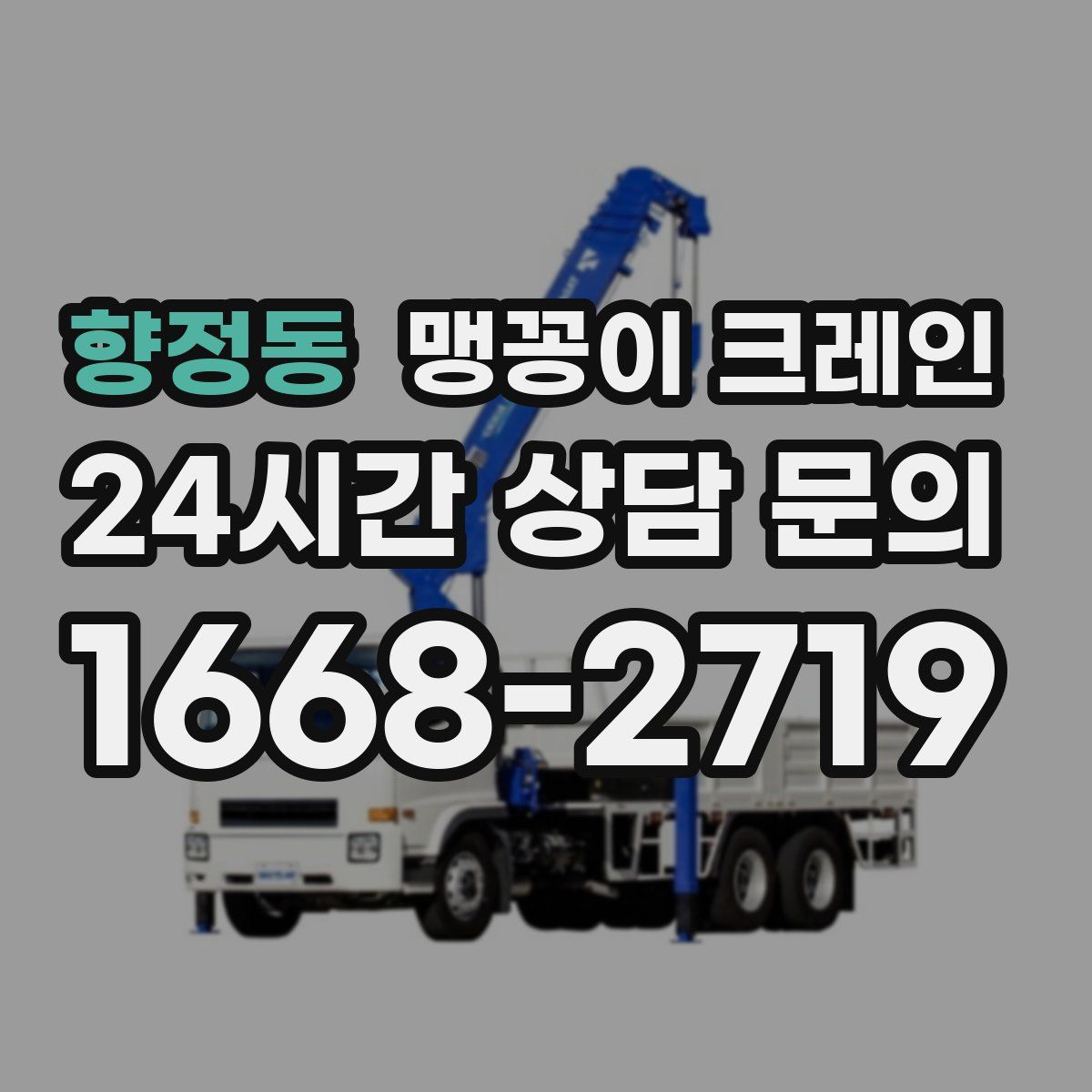 향정동 맹꽁이 크레인