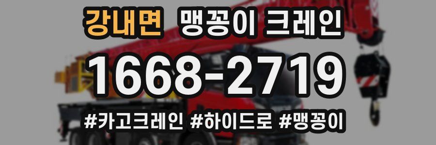 강내면 맹꽁이 크레인