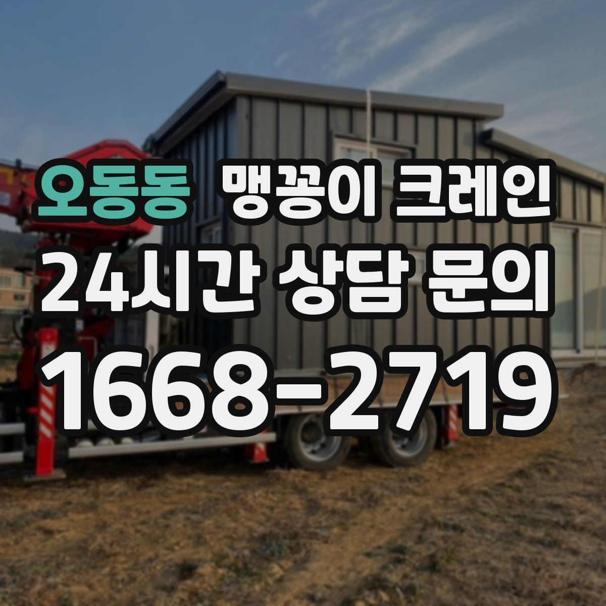 오동동 맹꽁이 크레인