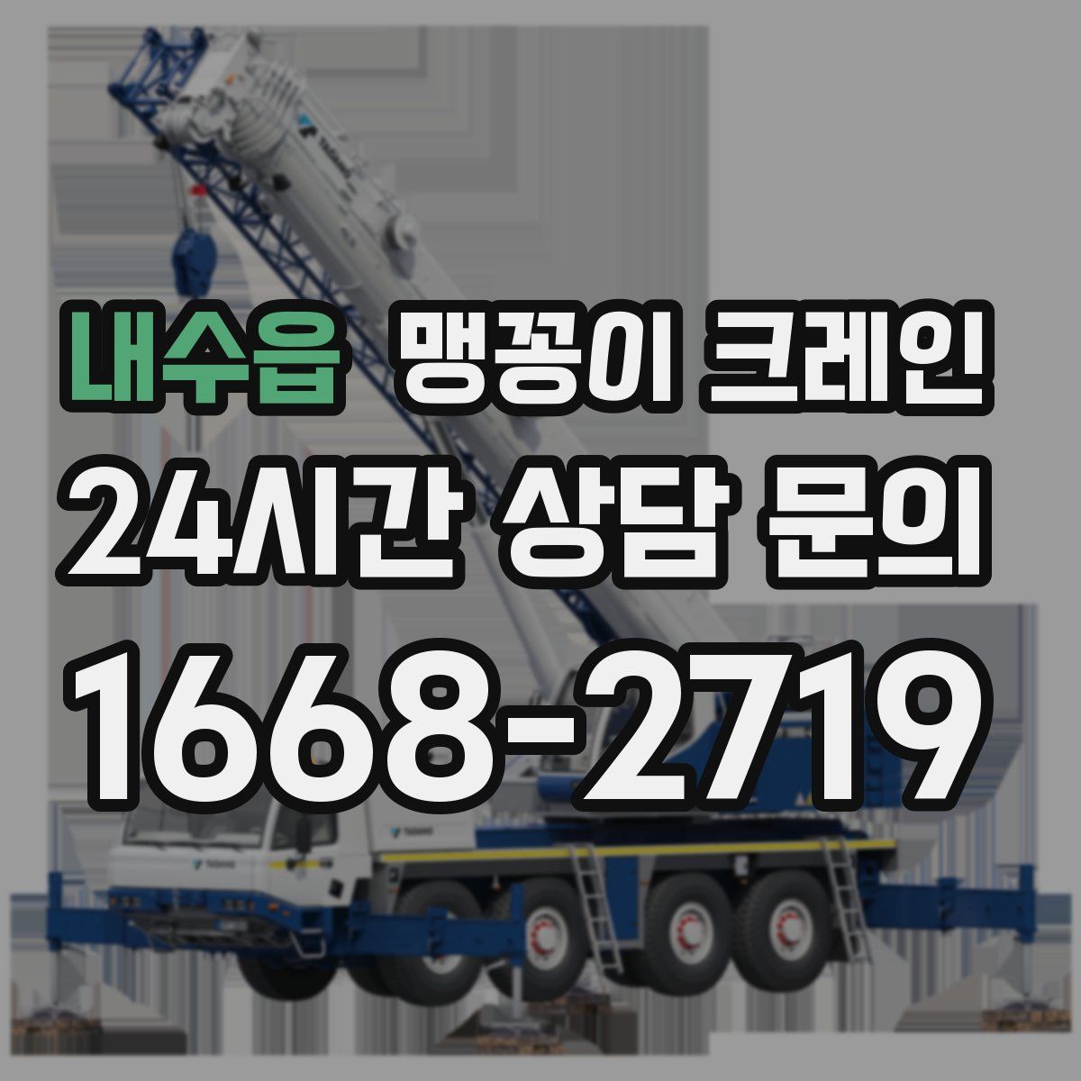 내수읍 맹꽁이 크레인