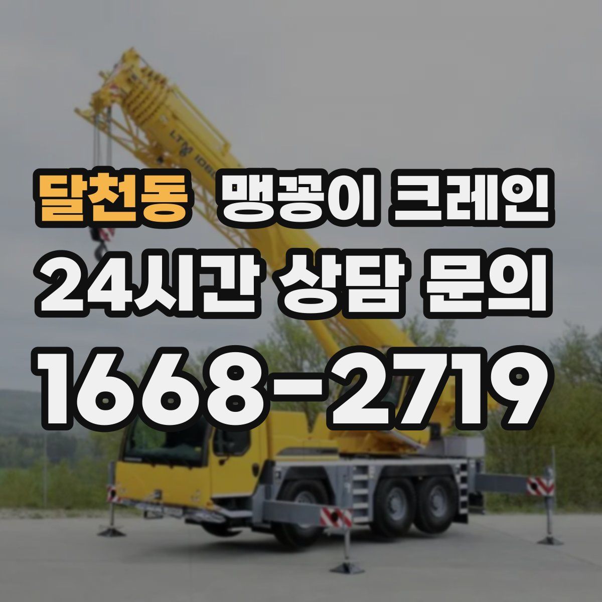 달천동 맹꽁이 크레인