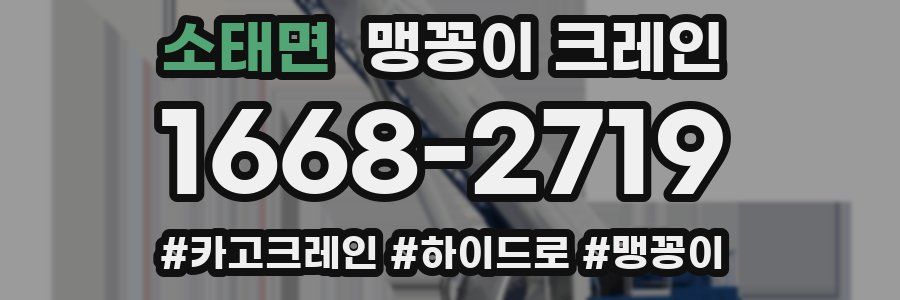 소태면 맹꽁이 크레인