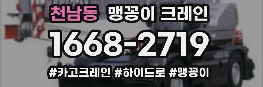 천남동 맹꽁이 크레인
