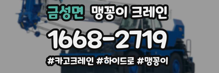 금성면 맹꽁이 크레인