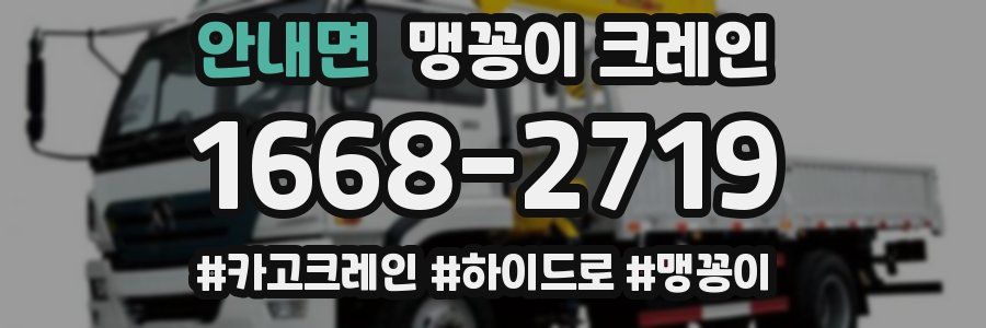 안내면 맹꽁이 크레인