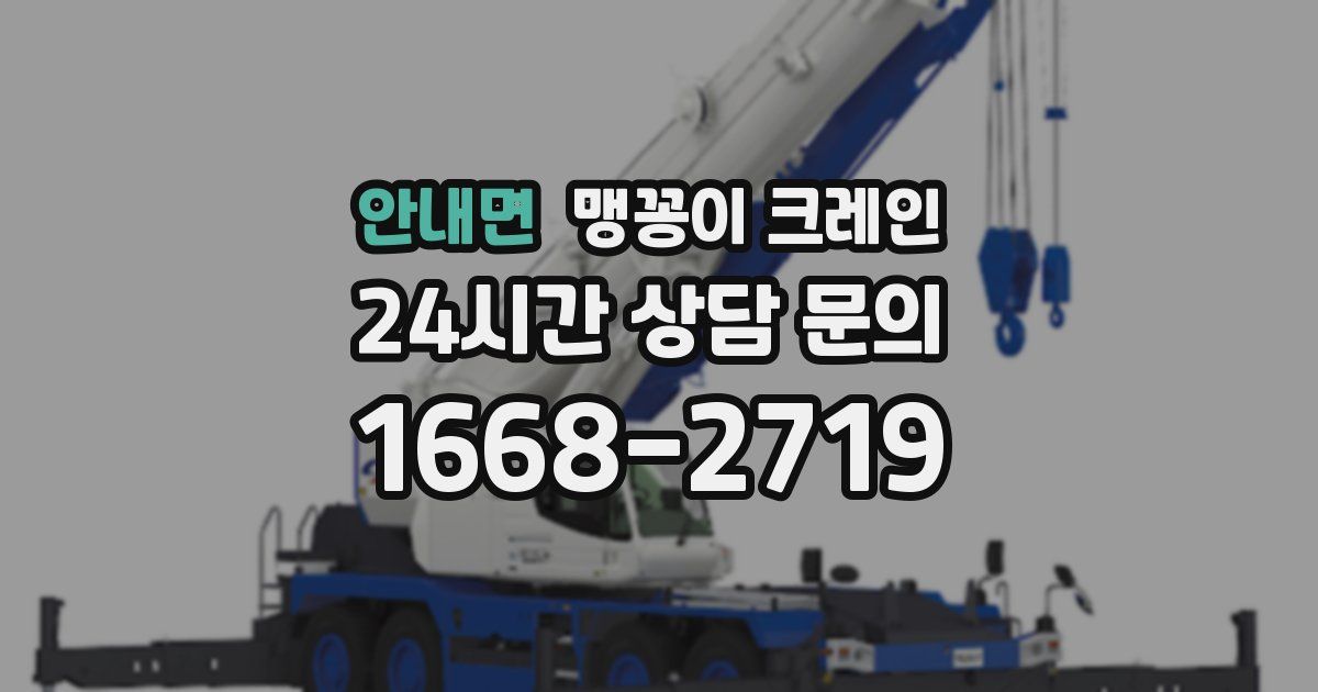 안내면 맹꽁이 크레인