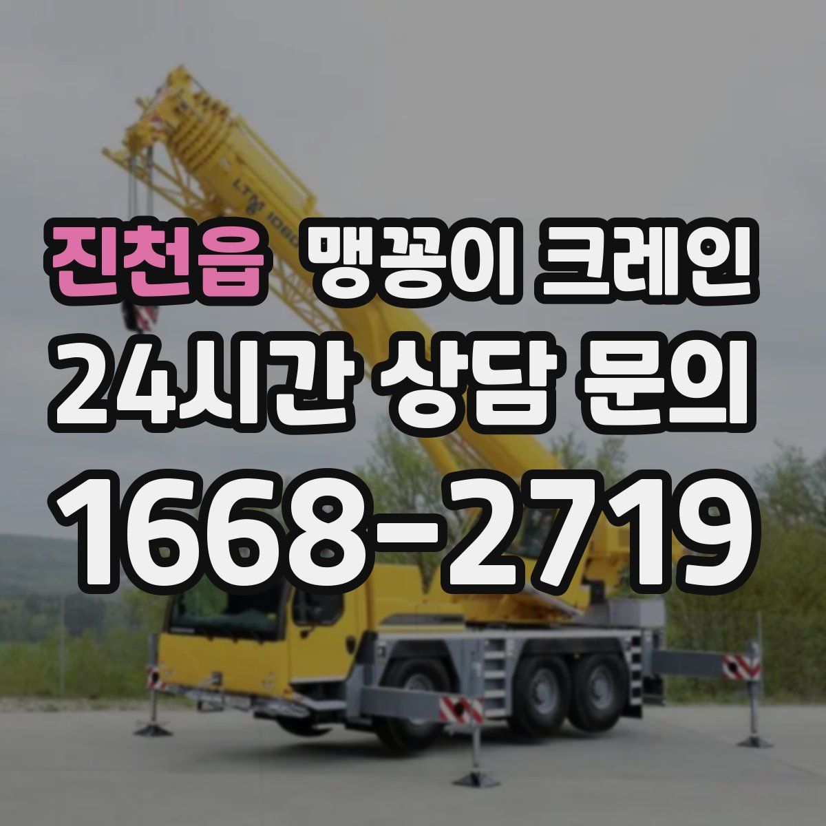 진천읍 맹꽁이 크레인