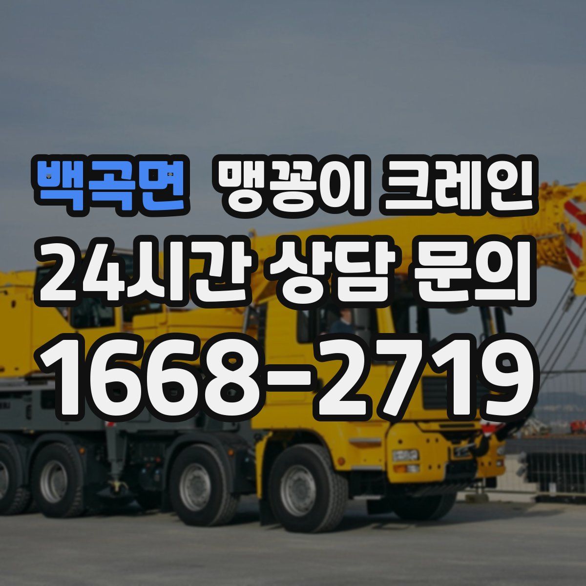 백곡면 맹꽁이 크레인