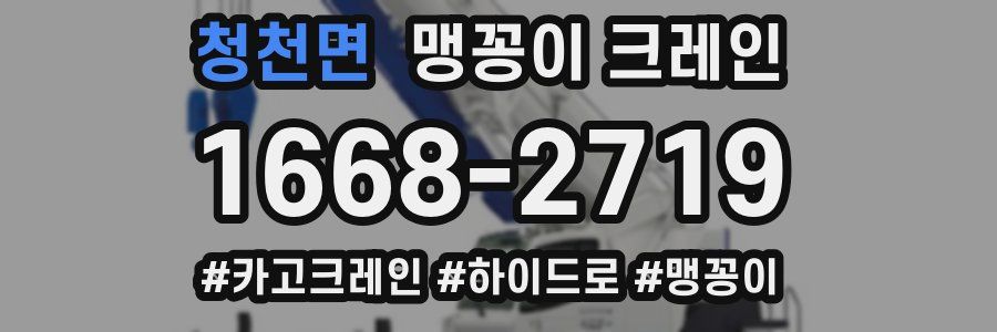 청천면 맹꽁이 크레인