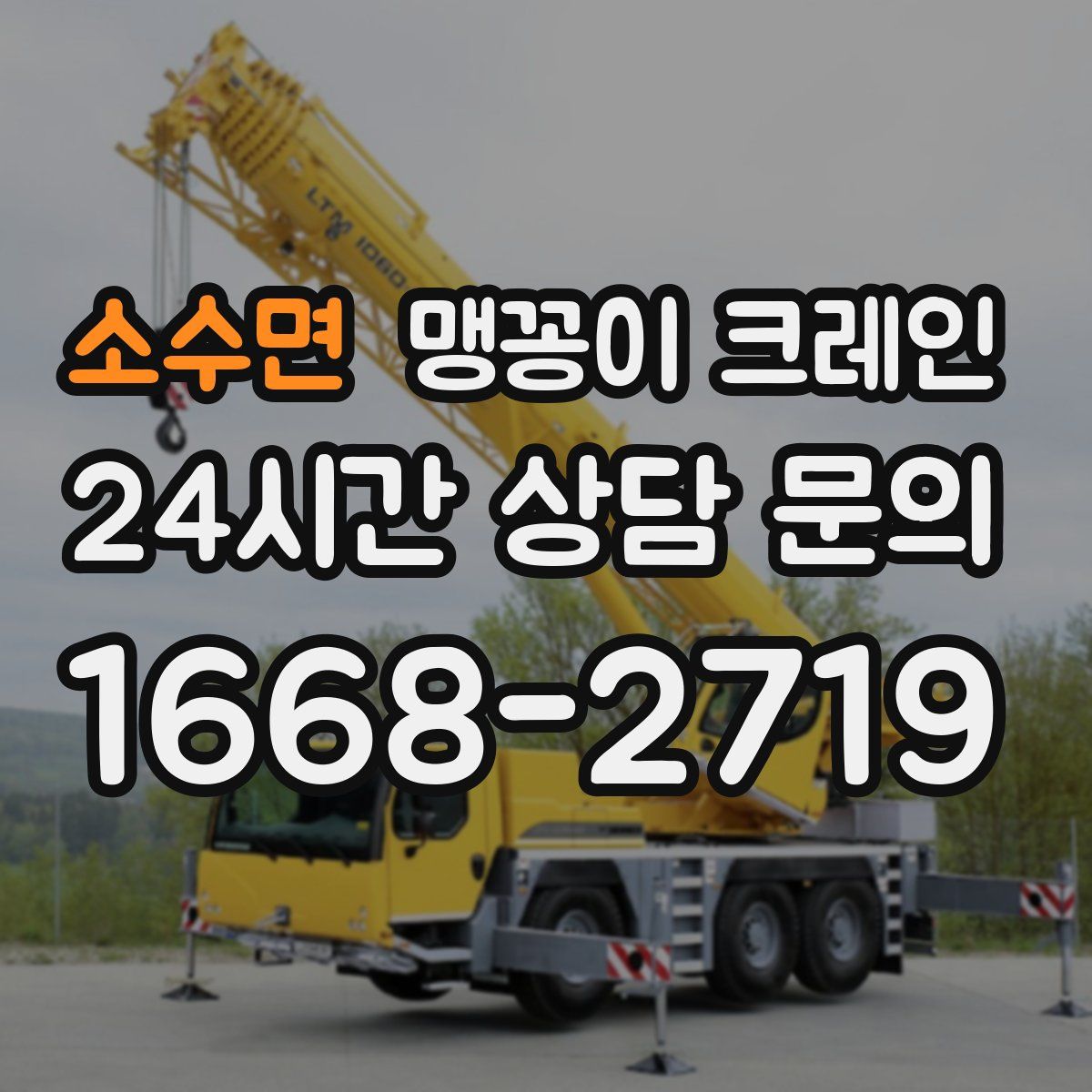 소수면 맹꽁이 크레인