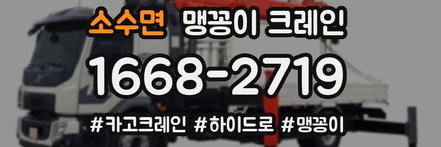 소수면 맹꽁이 크레인