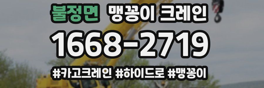불정면 맹꽁이 크레인
