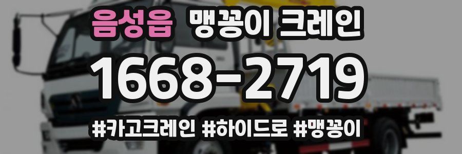 음성읍 맹꽁이 크레인