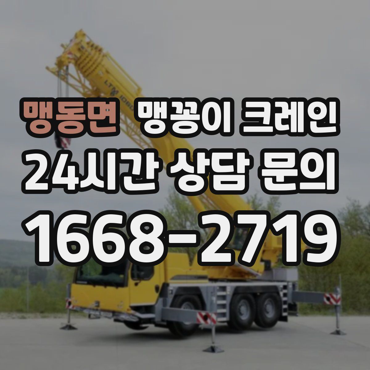 맹동면 맹꽁이 크레인
