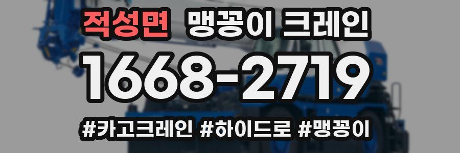 적성면 맹꽁이 크레인
