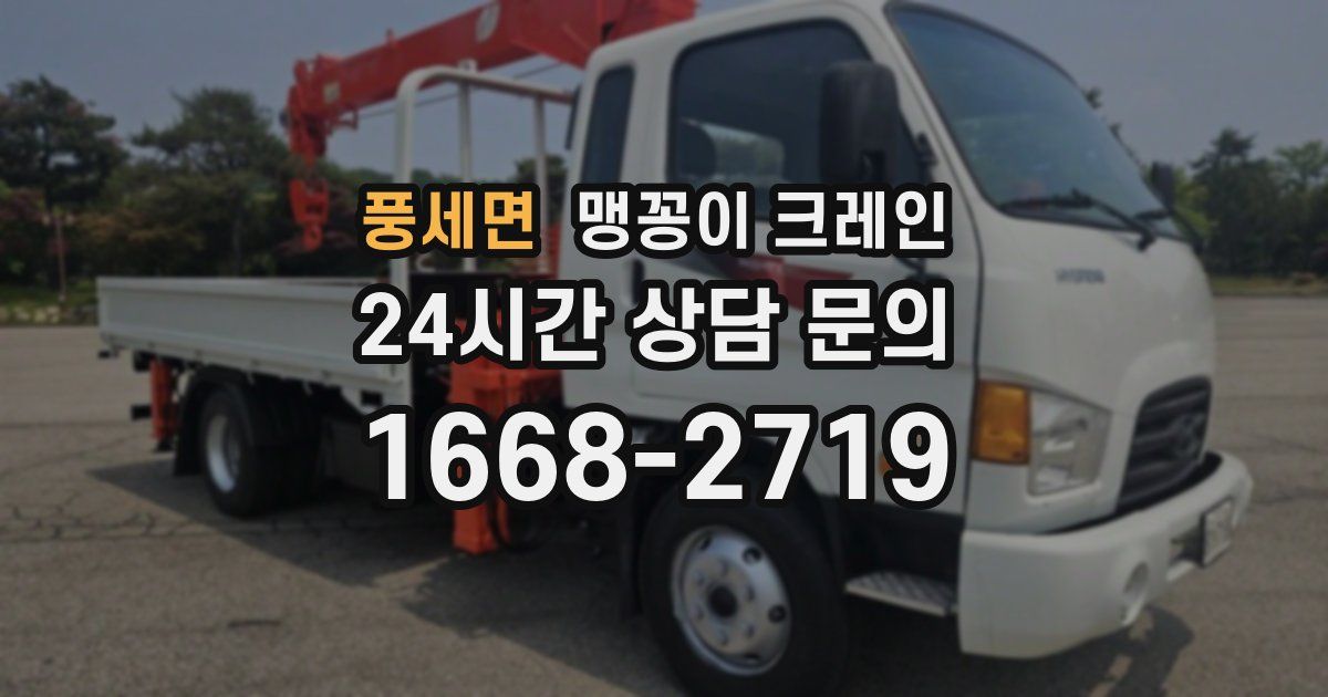 풍세면 맹꽁이 크레인