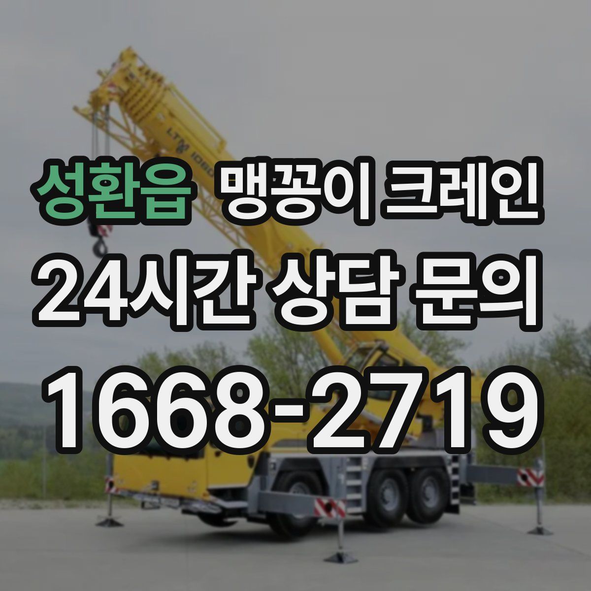 성환읍 맹꽁이 크레인