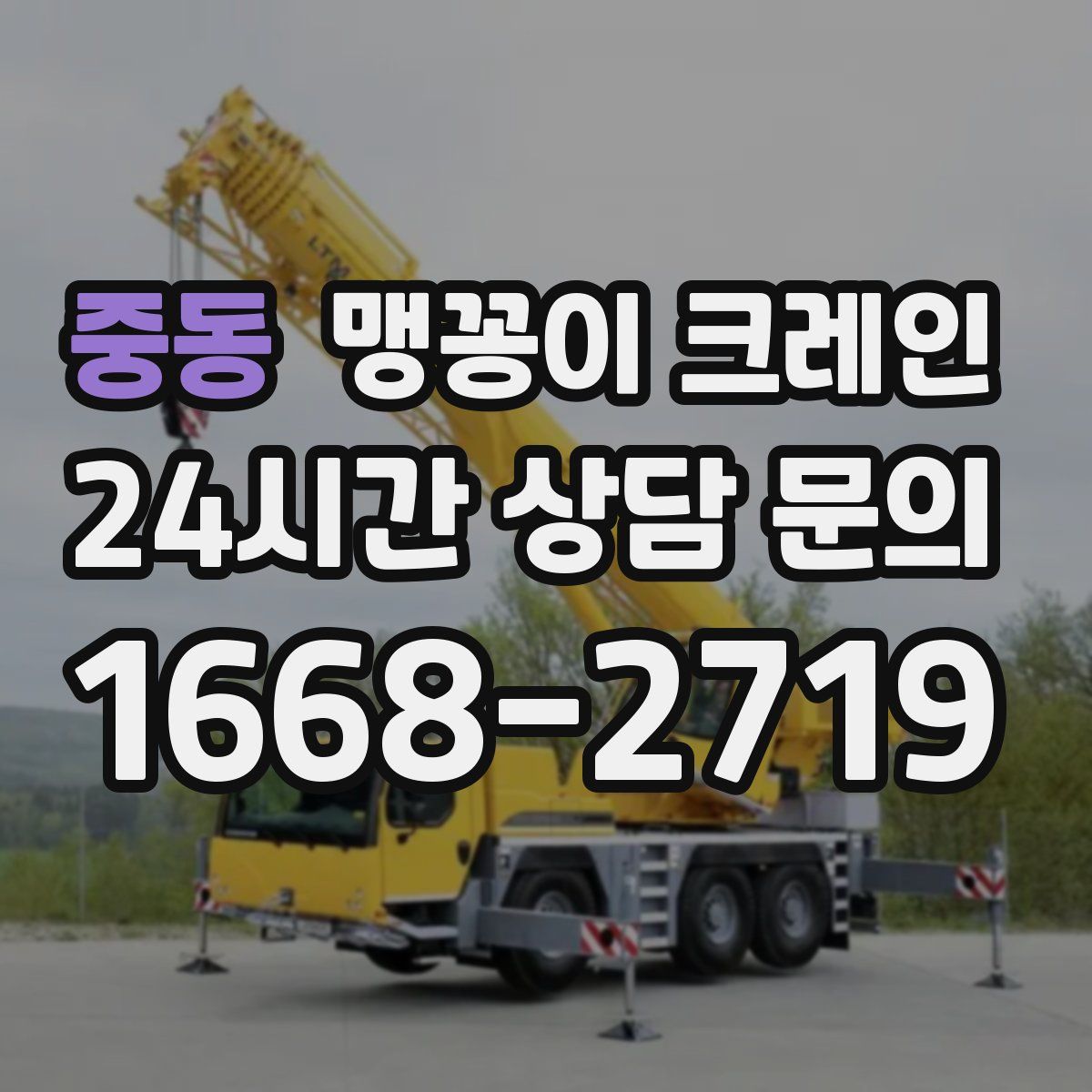 중동 맹꽁이 크레인