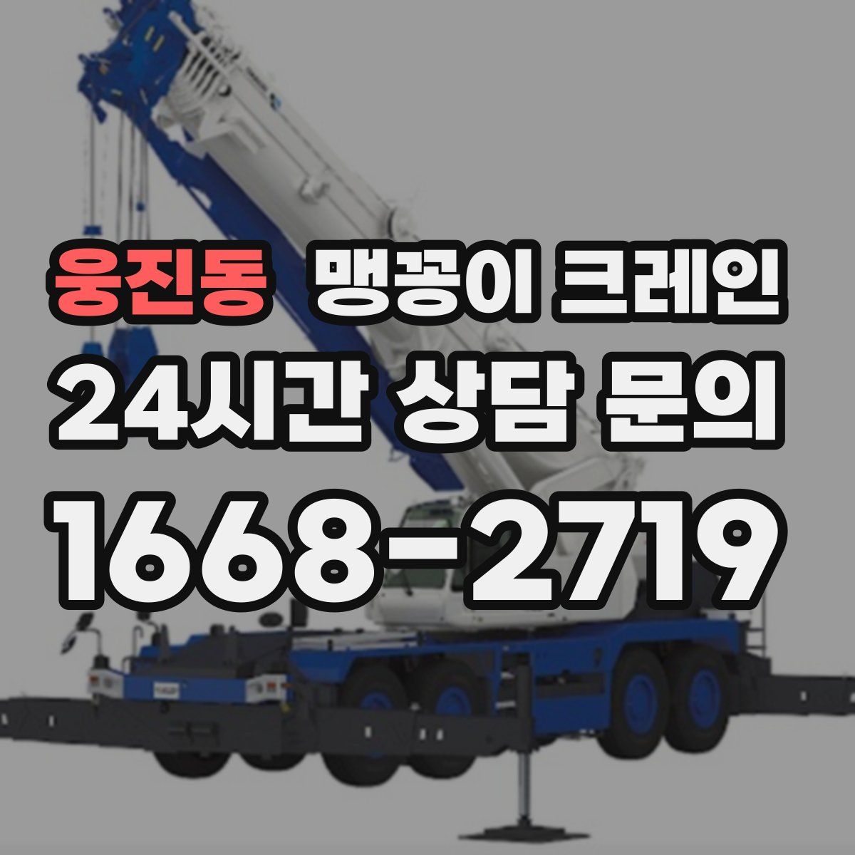 웅진동 맹꽁이 크레인