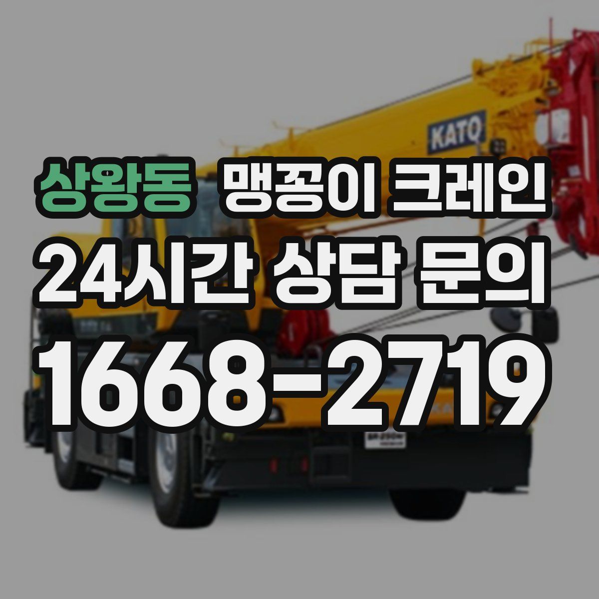 상왕동 맹꽁이 크레인