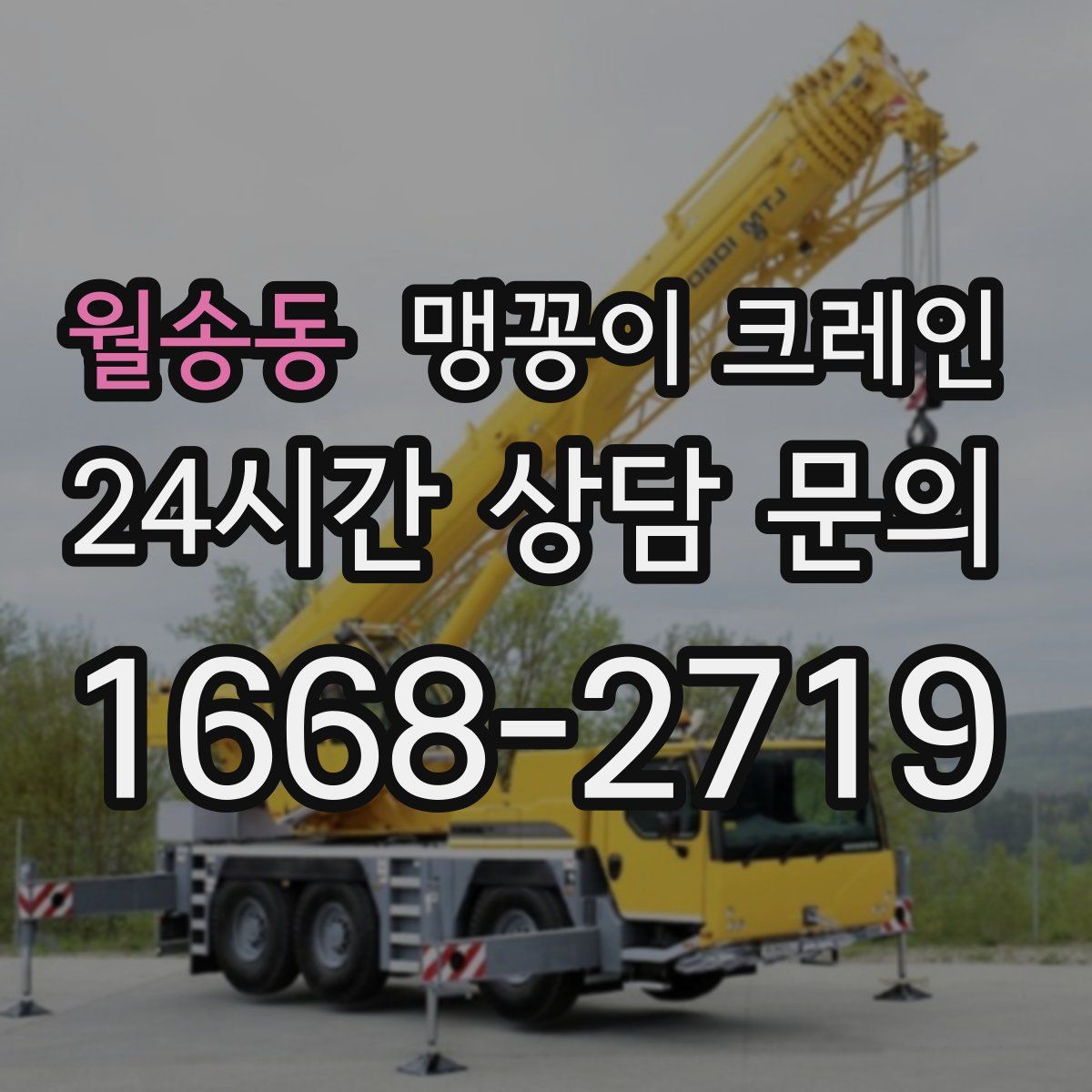 월송동 맹꽁이 크레인