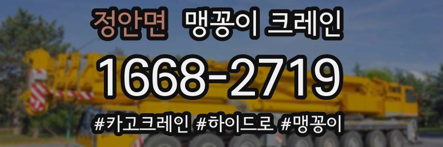 정안면 맹꽁이 크레인