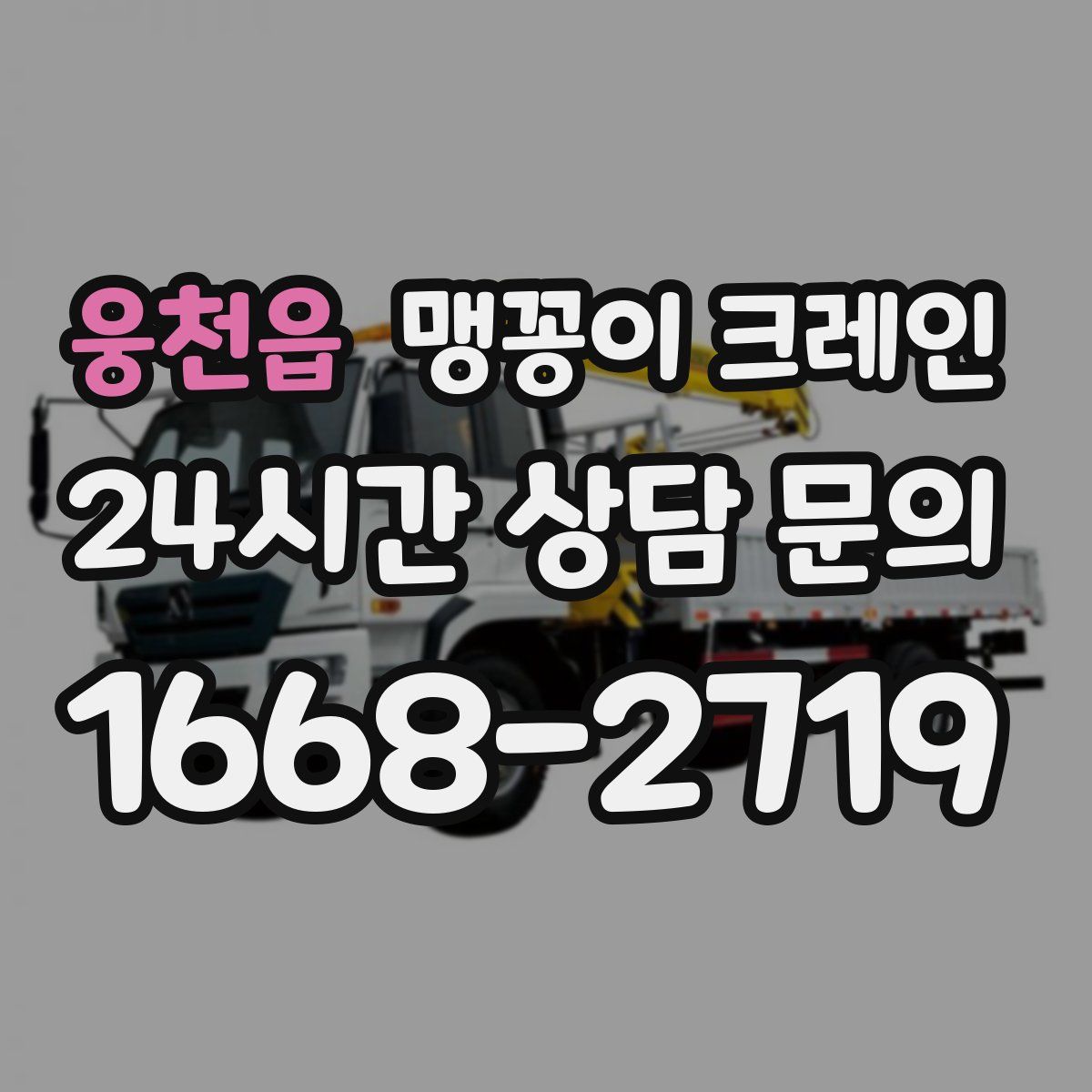 웅천읍 맹꽁이 크레인