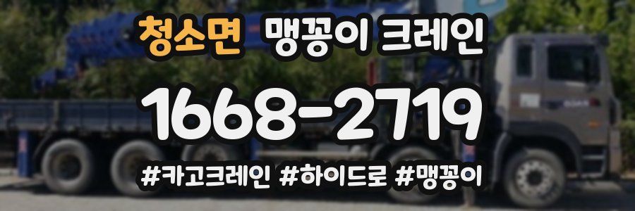 청소면 맹꽁이 크레인