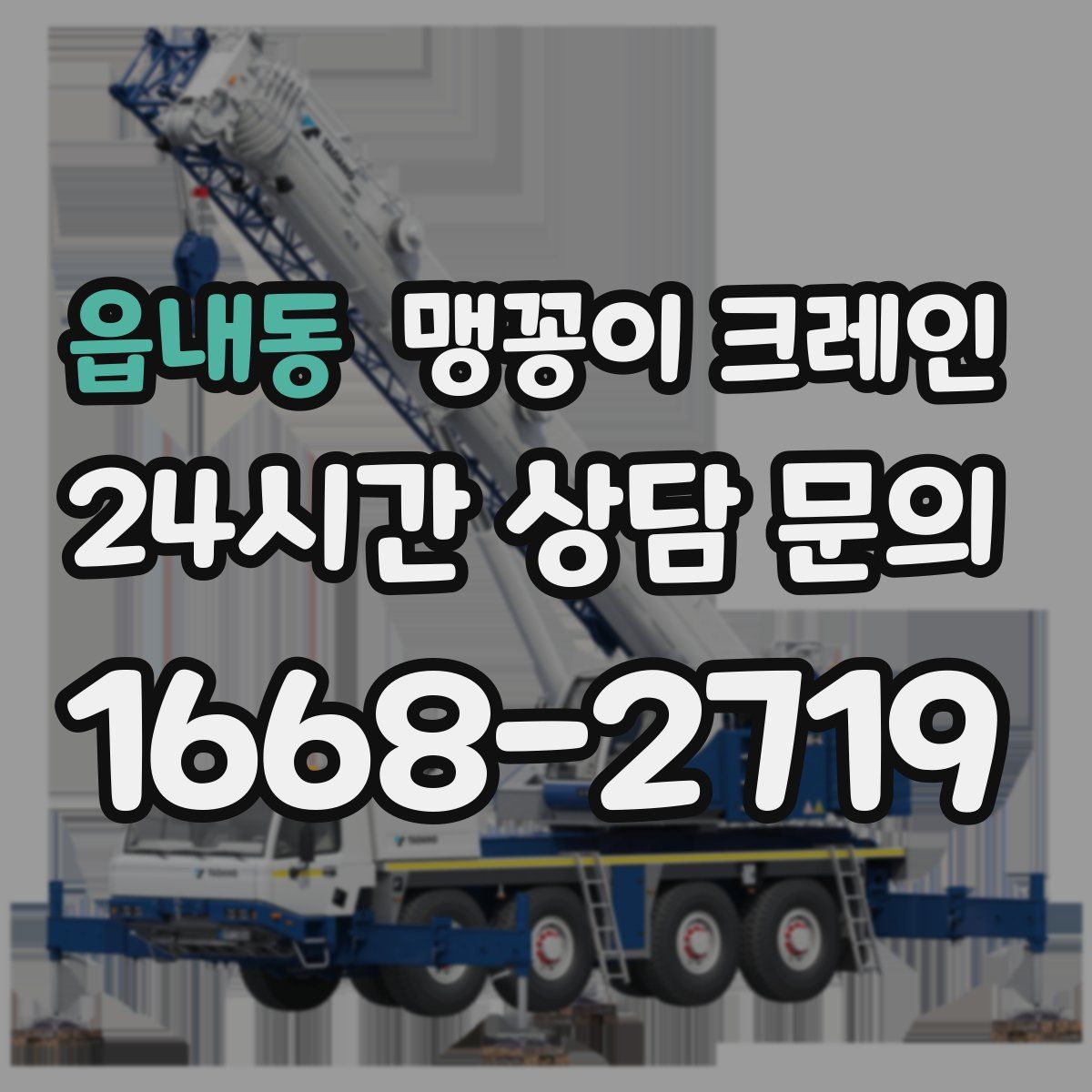 읍내동 맹꽁이 크레인