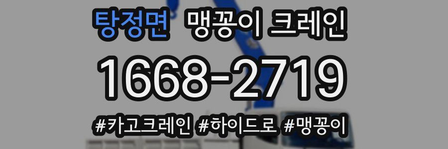탕정면 맹꽁이 크레인