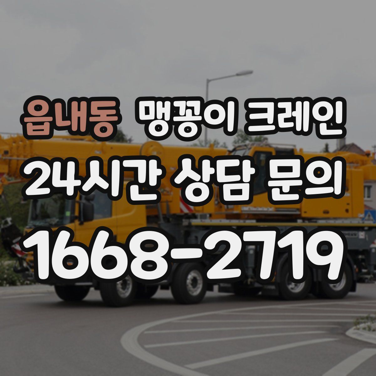읍내동 맹꽁이 크레인
