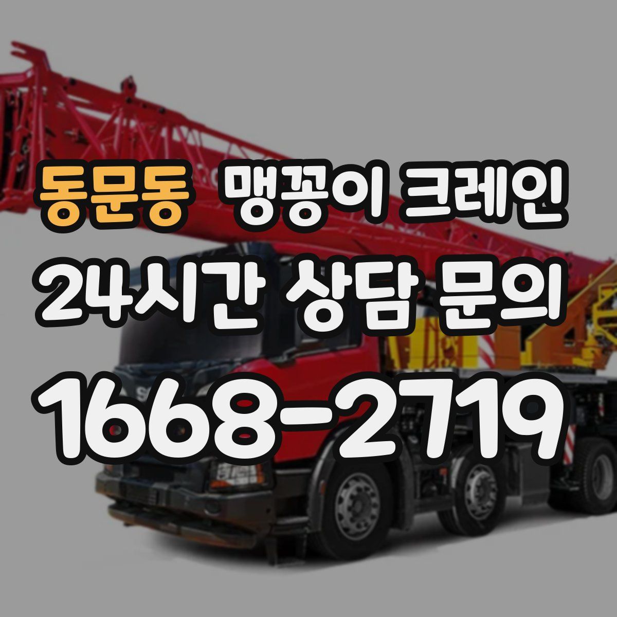 동문동 맹꽁이 크레인