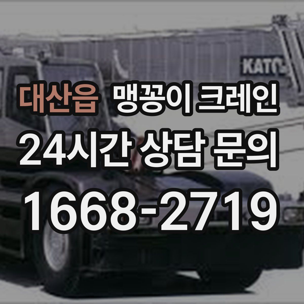 대산읍 맹꽁이 크레인