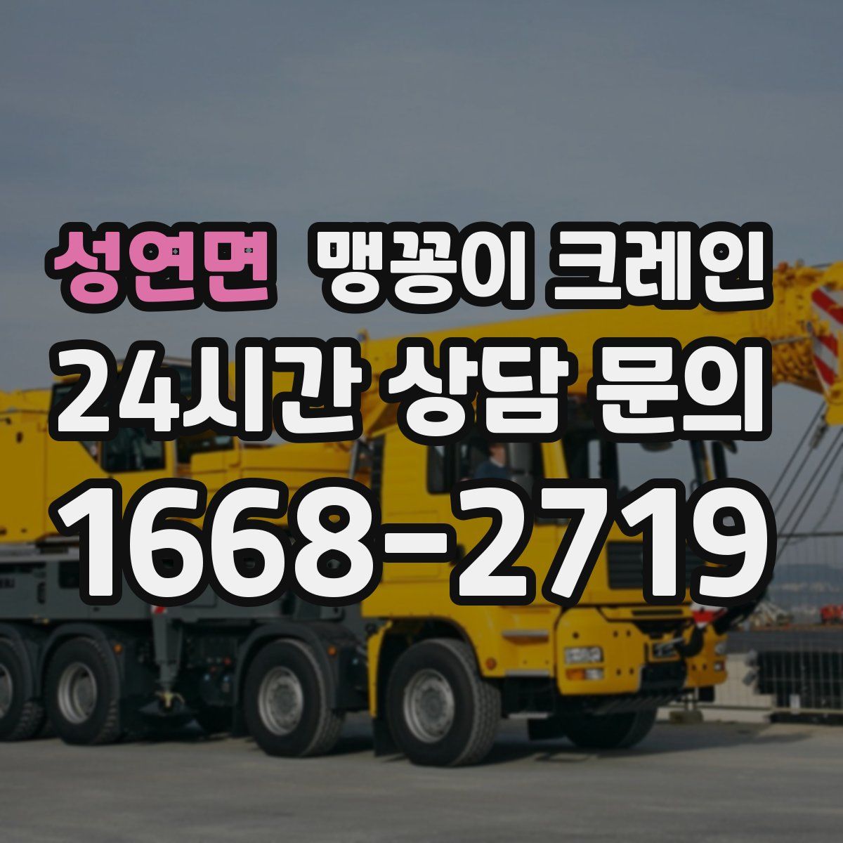 성연면 맹꽁이 크레인