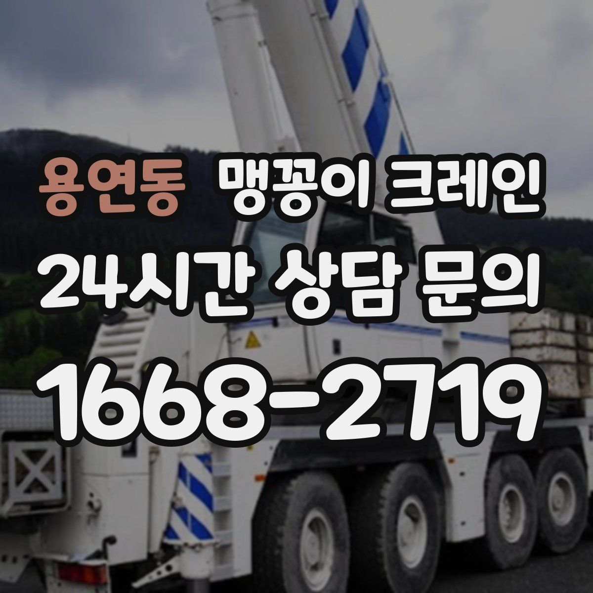 용연동 맹꽁이 크레인