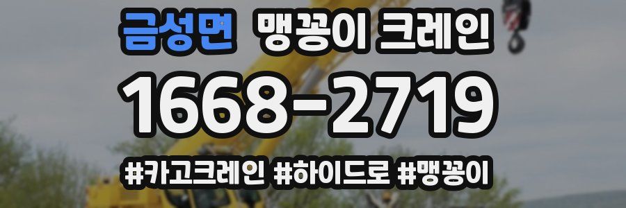 금성면 맹꽁이 크레인