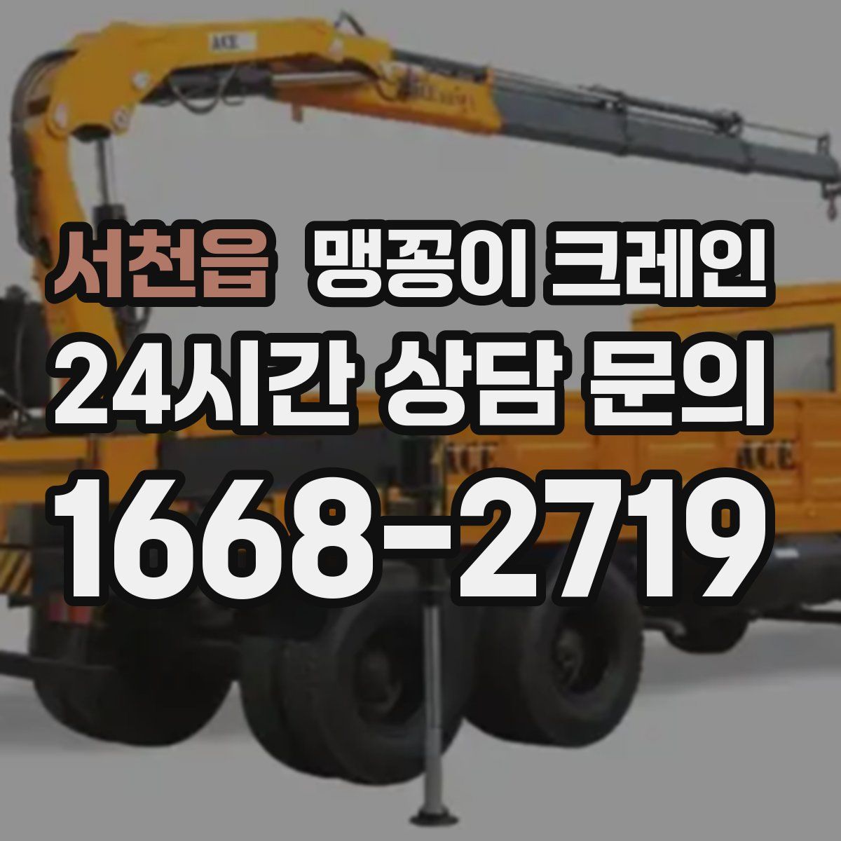 서천읍 맹꽁이 크레인