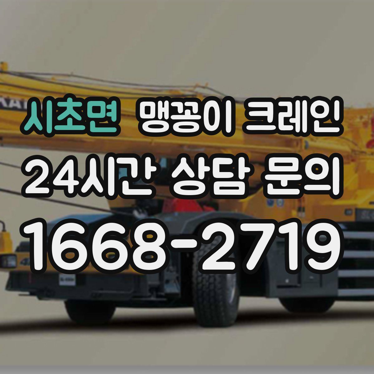 시초면 맹꽁이 크레인